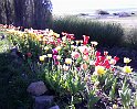IMG0122A