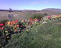 IMG0124A